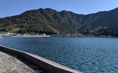 民泊はたのうら