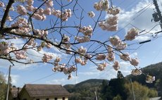 Guest House Eleven Village FUKIYA