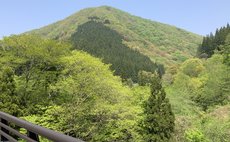 まるであなたの友だちの家.