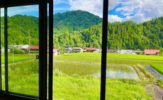 野草やど旬菜おてあて 蓬