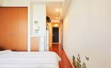 MIKO'S APARTMENT Shinjuku 10F 3min walk to Higashi-S