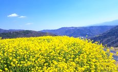 美村ヶ丘 交流促進宿泊施設