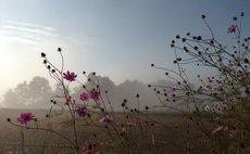 NIPPONIA Narayama Village -KAYA-