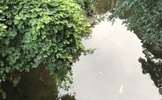 滑川に面した二段ベッドのお部屋です