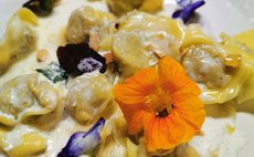 スーペリア ファミリールーム(素泊り)／Kumano Winery Guest House