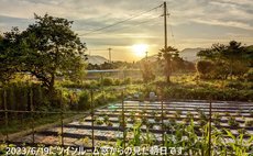 のんびりと田舎暮らしを楽しむ農家民泊