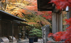 樱花船会馆 樱花 含早餐