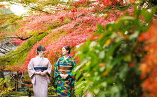 樱花船会馆 樱花 含早餐