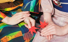樱花船会馆 樱花 含早餐