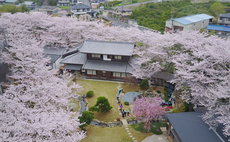 櫻泉会館【櫻】朝食付き