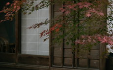 樱花船会馆 樱花 含早餐