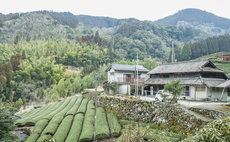 Sky Tea House private room with balcony