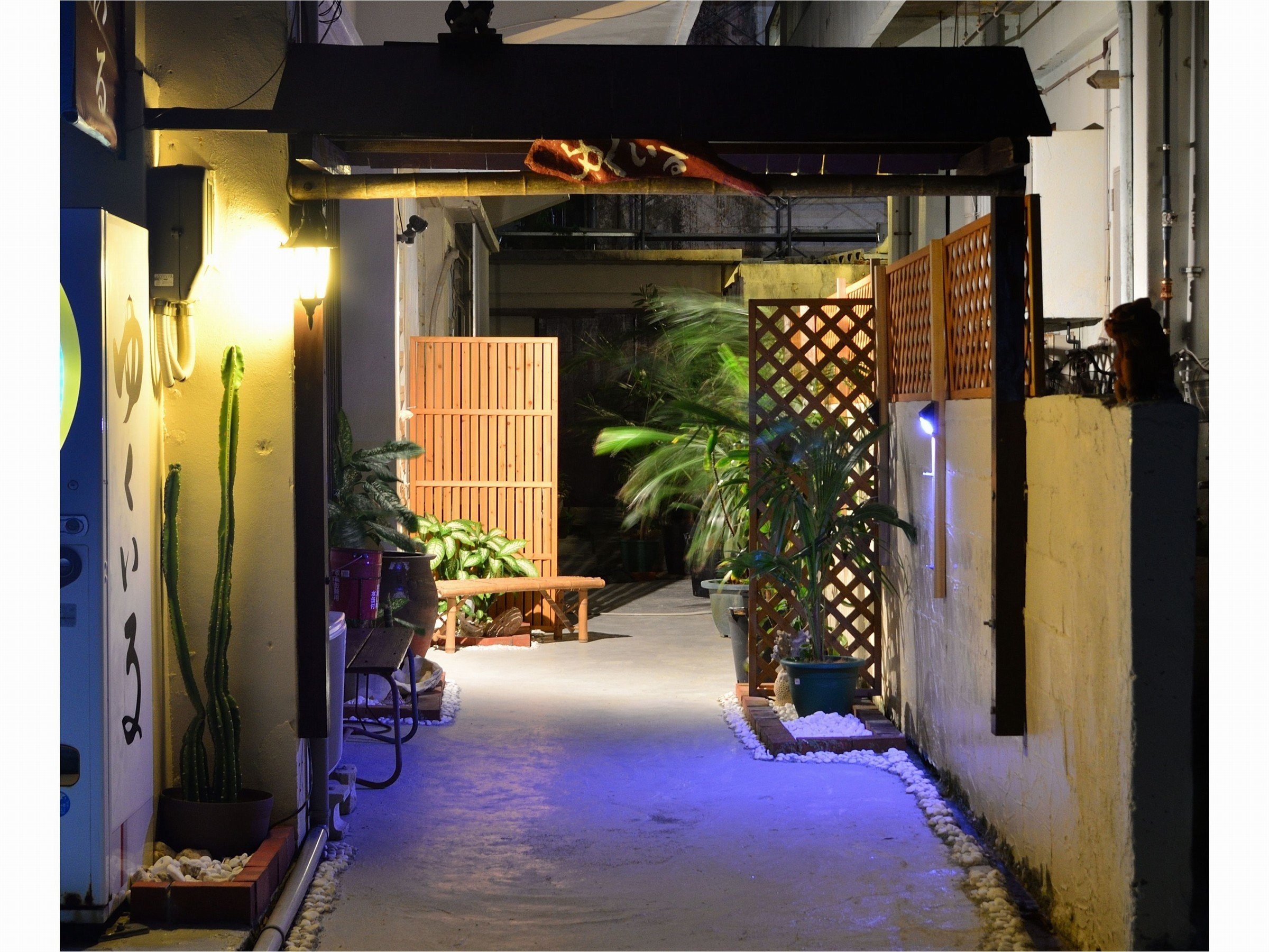 111 旅人の木 10房 今季物 宮古島産 - メルカリ 112 旅人の木 10