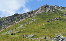 Ohasama Romance Room