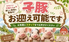 MOUNTQボートハウス