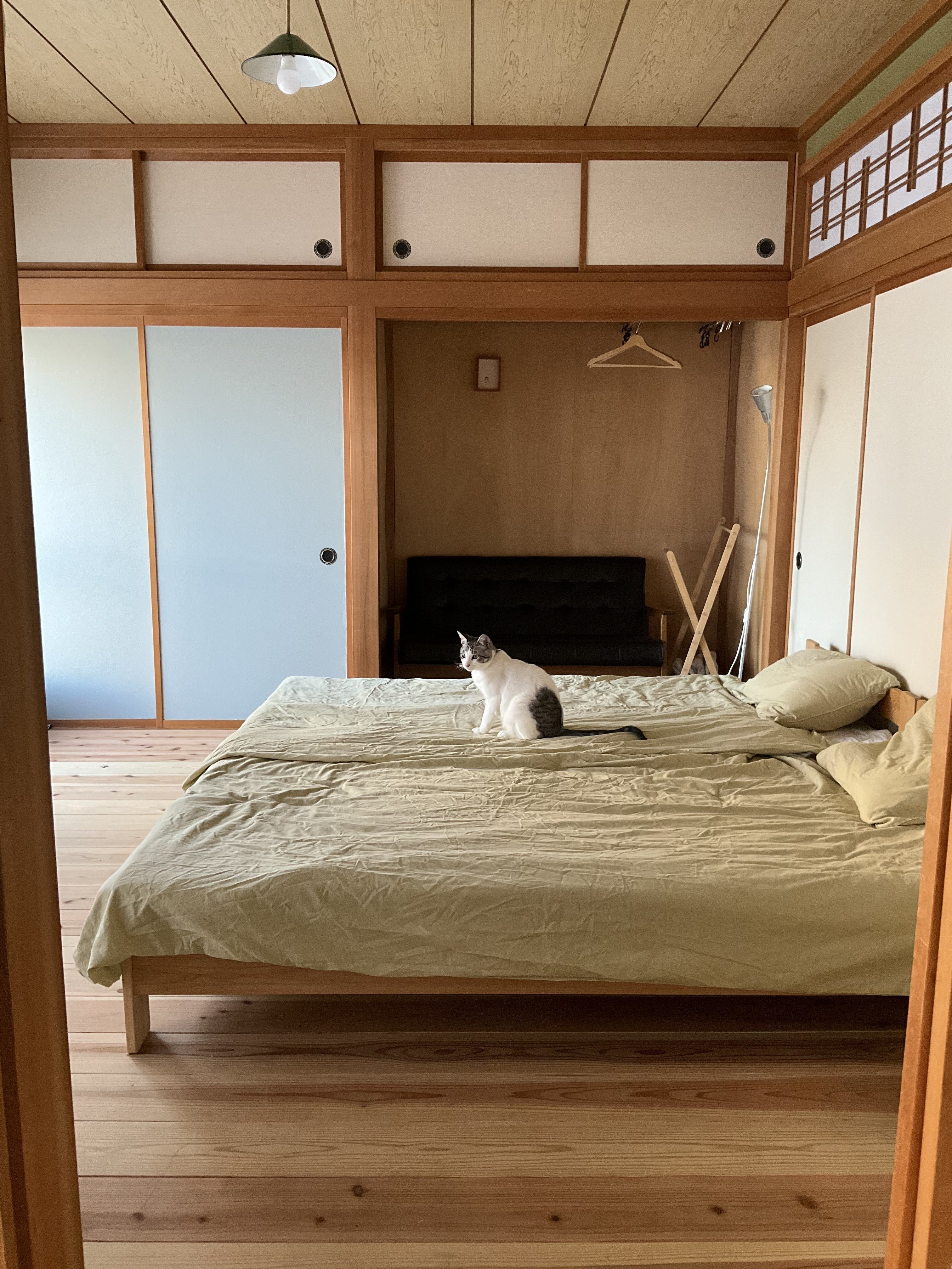 新品未使用 志人 CHIYORI LOSTRAINS 「家の庭」～いえのにわ～ 家の庭~いえのにわ~/志人&CHIYORI&LOSTRAINS【初回限定CD】 2025年最新