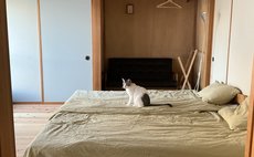 CHIRIN / A house in the countryside with cats