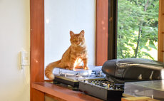 CHIRIN / A house in the countryside with cats