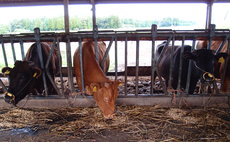 Experience guesthouse Nakamura Ranch (for the general public and overseas residents)