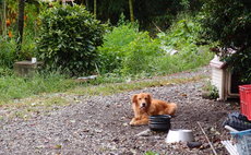 Experience guesthouse Nakamura Ranch (for the general public and overseas residents)