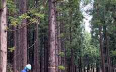 林業体験つき宿泊プラン(4名様まで同一料金)