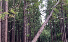 林業体験つき宿泊プラン(4名様まで同一料金)