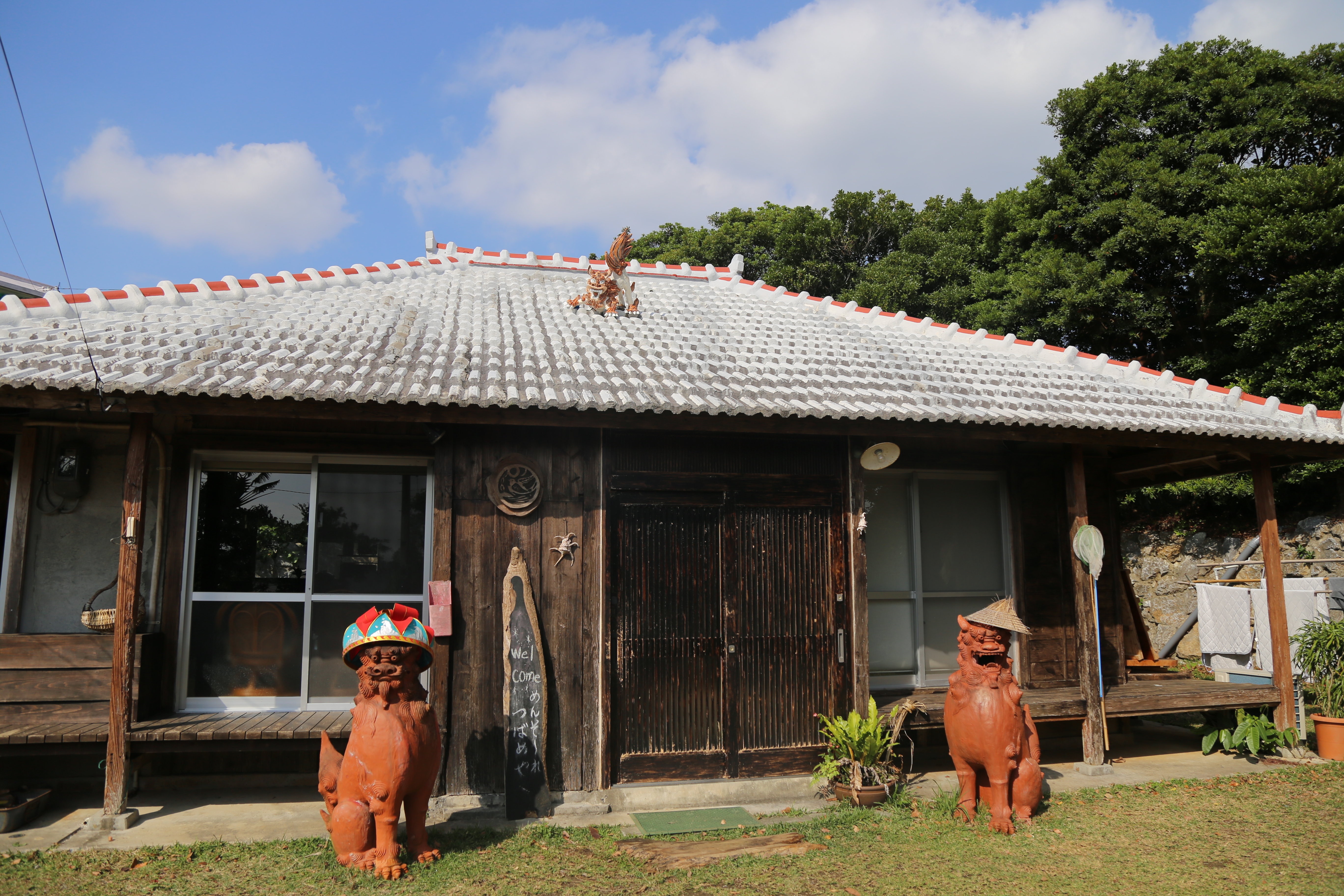 17196_cover.JPG?1582808740