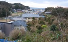 つわぶきの宿 みづの