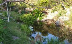 つわぶきの宿 みづの