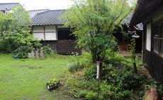 安部自然農園 山帰来