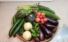 安部自然農園 山帰来