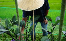 体験宿泊施設 布流久佐