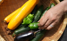 体験宿泊施設 布流久佐