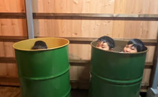 Showa Retro Sushi Private Lodging
