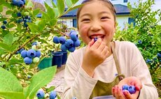 彩り