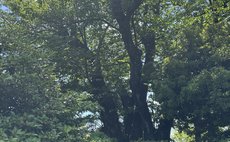 貸別荘白ゆり
