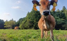 いただきますファーム