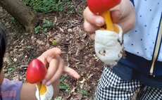 豊かな里山にある農家民宿です