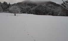 豊かな里山にある農家民宿です