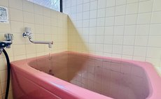 Higurashian - With natural hot springs - Gaia Resort