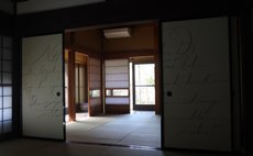 Ame-no-mori Regenswald