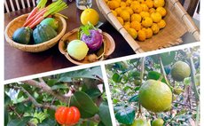 洋風民宿 ペンションウィークエンド