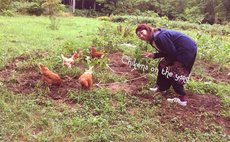 大自然！庭先焚火とニワトリが走るゲストハウス貸切