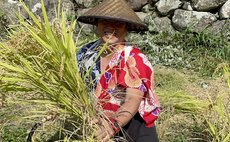 Limited to August 28-29, 2026 Experience Golden Rice Harvest at Okuuchi, One of the Top 100 Terraced Rice Fields!