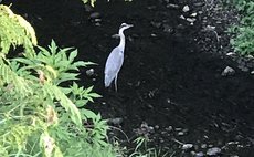 滑川に面したシングルのお部屋です
