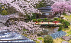 櫻泉會館 泉 含早餐
