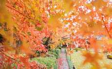 Oukai Villa Izumi【Izumi】Breakfast included
