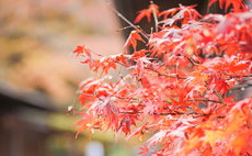 Oukai Villa Izumi【Izumi】Breakfast included