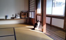 【さくら庵】四国遍路23番札所薬王寺近く 素泊まり／トイレ シャワー共用／部屋鍵なし