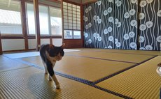 【さくら庵】四国遍路23番札所薬王寺近く 素泊まり／トイレ シャワー共用／部屋鍵なし